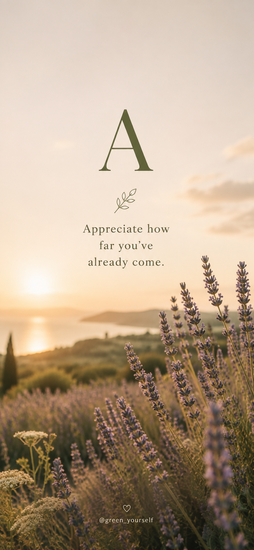 Phone wallpaper: Appreciate how far you've already come, over a lavender field at sunset